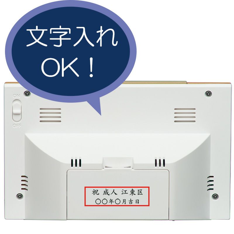 sq799b