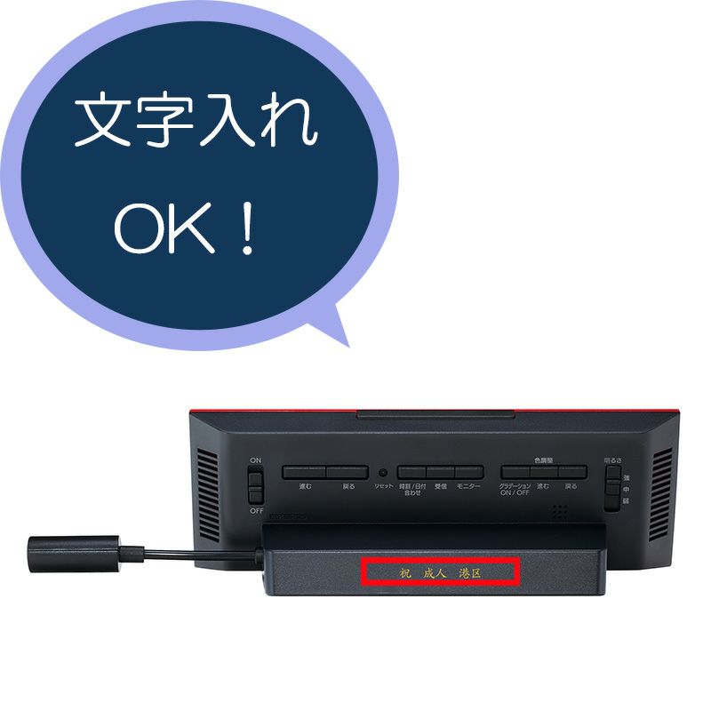 dl307r