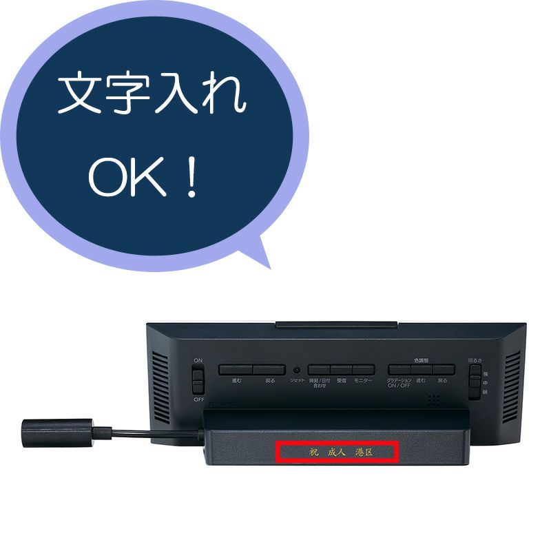dl307w